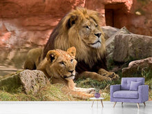 Lade das Bild in den Galerie-Viewer, Fototapete Ein Löwen Paar

