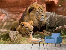 Lade das Bild in den Galerie-Viewer, Fototapete Ein Löwen Paar

