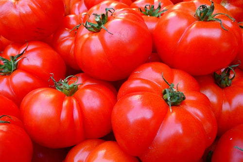 Fototapete Frische Tomaten