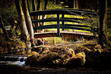 Lade das Bild in den Galerie-Viewer, Fototapete Holzbrücke im Wald

