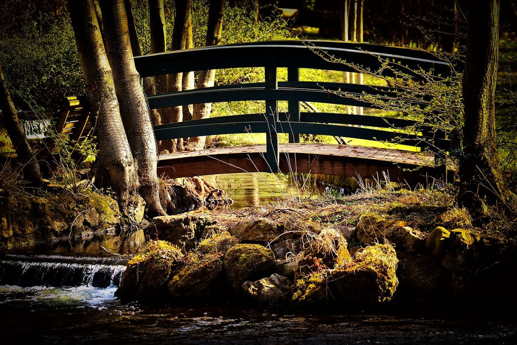 Fototapete Holzbrücke im Wald