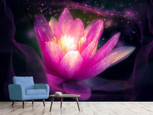 Lade das Bild in den Galerie-Viewer, Fototapete Lilie im Lichterspiel
