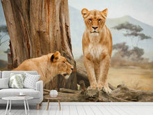 Lade das Bild in den Galerie-Viewer, Fototapete Löwen in Afrika
