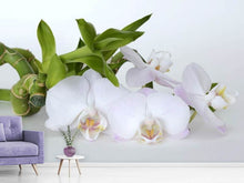 Lade das Bild in den Galerie-Viewer, Fototapete Orchidee und Bambus
