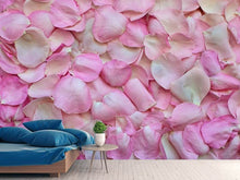 Lade das Bild in den Galerie-Viewer, Fototapete Rosenblüten in rosa
