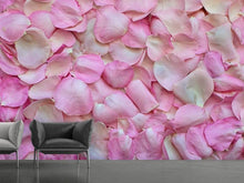 Lade das Bild in den Galerie-Viewer, Fototapete Rosenblüten in rosa
