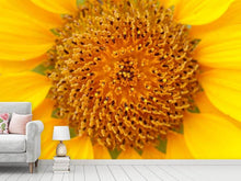 Lade das Bild in den Galerie-Viewer, Fototapete Wunderschöne Knospen der Sonnenblume
