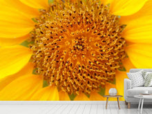 Lade das Bild in den Galerie-Viewer, Fototapete Wunderschöne Knospen der Sonnenblume
