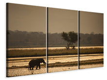 Lade das Bild in den Galerie-Viewer, Leinwandbild 3-teilig Elefant alleine in der Steppe
