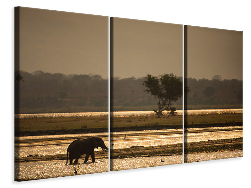 Leinwandbild 3-teilig Elefant alleine in der Steppe