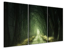 Lade das Bild in den Galerie-Viewer, Leinwandbild 3-teilig Mysteriöser Wald
