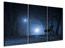 Lade das Bild in den Galerie-Viewer, Leinwandbild 3-teilig Nachts im Park
