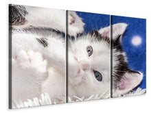Lade das Bild in den Galerie-Viewer, Leinwandbild 3-teilig Süsses Kitten
