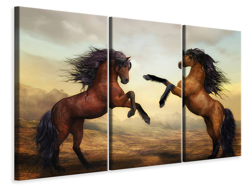 Leinwandbild 3-teilig Zwei wilde Pferde