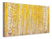 Lade das Bild in den Galerie-Viewer, Leinwandbild Der Birkenwald im Herbst
