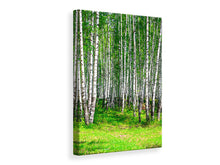 Lade das Bild in den Galerie-Viewer, Leinwandbild Der Birkenwald im Sommer
