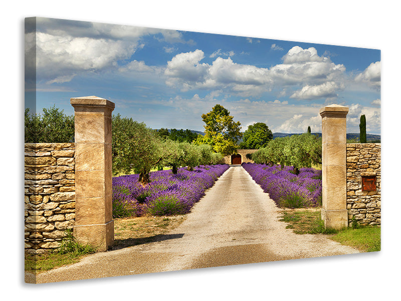 Leinwandbild Lavendel-Garten