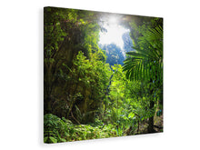Lade das Bild in den Galerie-Viewer, Leinwandbild Lichtung im Dschungel
