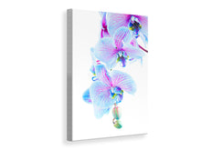 Lade das Bild in den Galerie-Viewer, Leinwandbild Orchideen-Schmetterling

