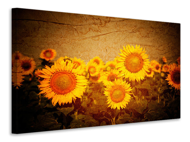 Leinwandbild Retro-Sonnenblumen