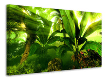 Lade das Bild in den Galerie-Viewer, Leinwandbild Sonnenaufgang im Regenwald

