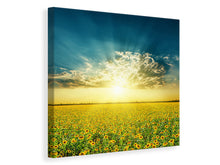 Lade das Bild in den Galerie-Viewer, Leinwandbild Sonnenblumen in der Abendsonne

