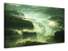 Lade das Bild in den Galerie-Viewer, Leinwandbild Über den Wäldern
