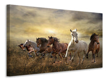 Lade das Bild in den Galerie-Viewer, Leinwandbild Wilde Pferde

