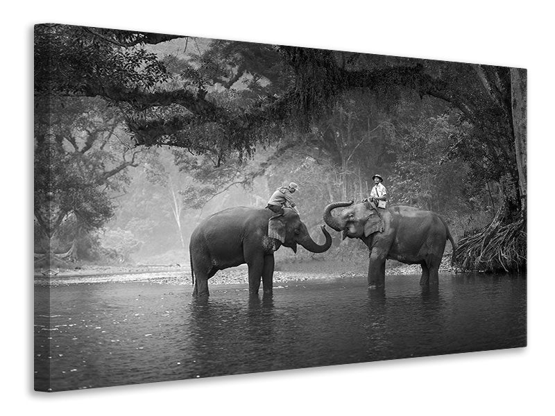 Leinwandbild Zwei Elefanten