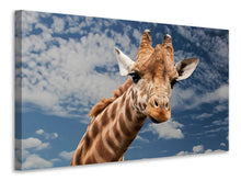 Lade das Bild in den Galerie-Viewer, Leinwandbild Achtung Giraffe!
