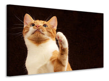 Lade das Bild in den Galerie-Viewer, Leinwandbild Achtung kluge Katze
