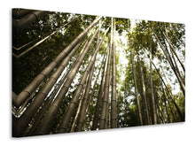 Lade das Bild in den Galerie-Viewer, Leinwandbild Arashiyama Japan

