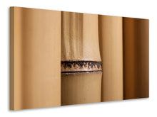 Lade das Bild in den Galerie-Viewer, Leinwandbild Bambus Close up
