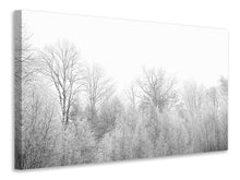 Lade das Bild in den Galerie-Viewer, Leinwandbild Birken im Schnee
