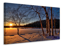 Lade das Bild in den Galerie-Viewer, Leinwandbild Birken im Sonnenuntergang
