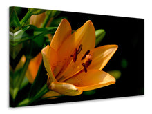 Lade das Bild in den Galerie-Viewer, Leinwandbild Close up Lilie in orange
