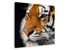 Lade das Bild in den Galerie-Viewer, Leinwandbild Close up Tiger Kopf
