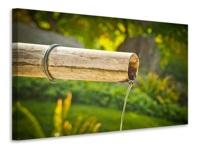 Leinwandbild Das Bambus Rohr