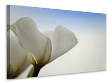 Lade das Bild in den Galerie-Viewer, Leinwandbild Das Blatt einer Lilienblüte
