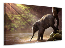 Lade das Bild in den Galerie-Viewer, Leinwandbild Das Elefantenbaby
