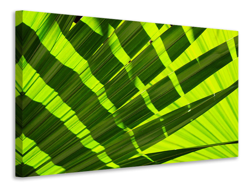Leinwandbild Das Palmenblatt in XL