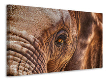 Lade das Bild in den Galerie-Viewer, Leinwandbild Der Blick des Elefanten
