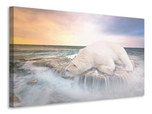 Lade das Bild in den Galerie-Viewer, Leinwandbild Der Eisbär und das Meer
