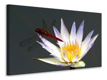 Lade das Bild in den Galerie-Viewer, Leinwandbild Die Libelle auf der Blüte
