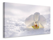 Lade das Bild in den Galerie-Viewer, Leinwandbild Die Orchideen Blüte
