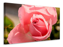 Lade das Bild in den Galerie-Viewer, Leinwandbild Die Rose in rosa
