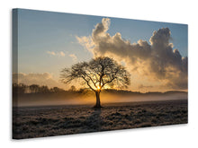 Lade das Bild in den Galerie-Viewer, Leinwandbild Ein einsamer Baum
