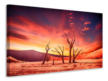 Lade das Bild in den Galerie-Viewer, Leinwandbild Farbenprächtige Wüste
