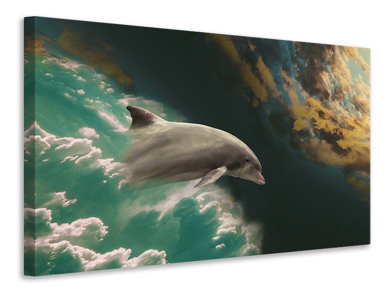 Leinwandbild Faszination Delfin
