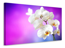 Lade das Bild in den Galerie-Viewer, Leinwandbild Flower Power Orchidee
